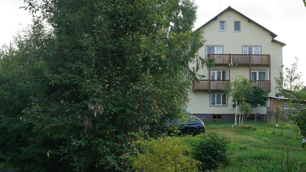 Hotel Vila Zenyt Piatra Fântânele Exterior foto